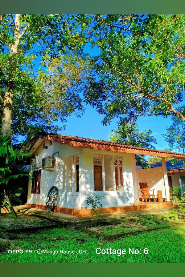 Mango House Japanese Guest House Негомбо Экстерьер фото