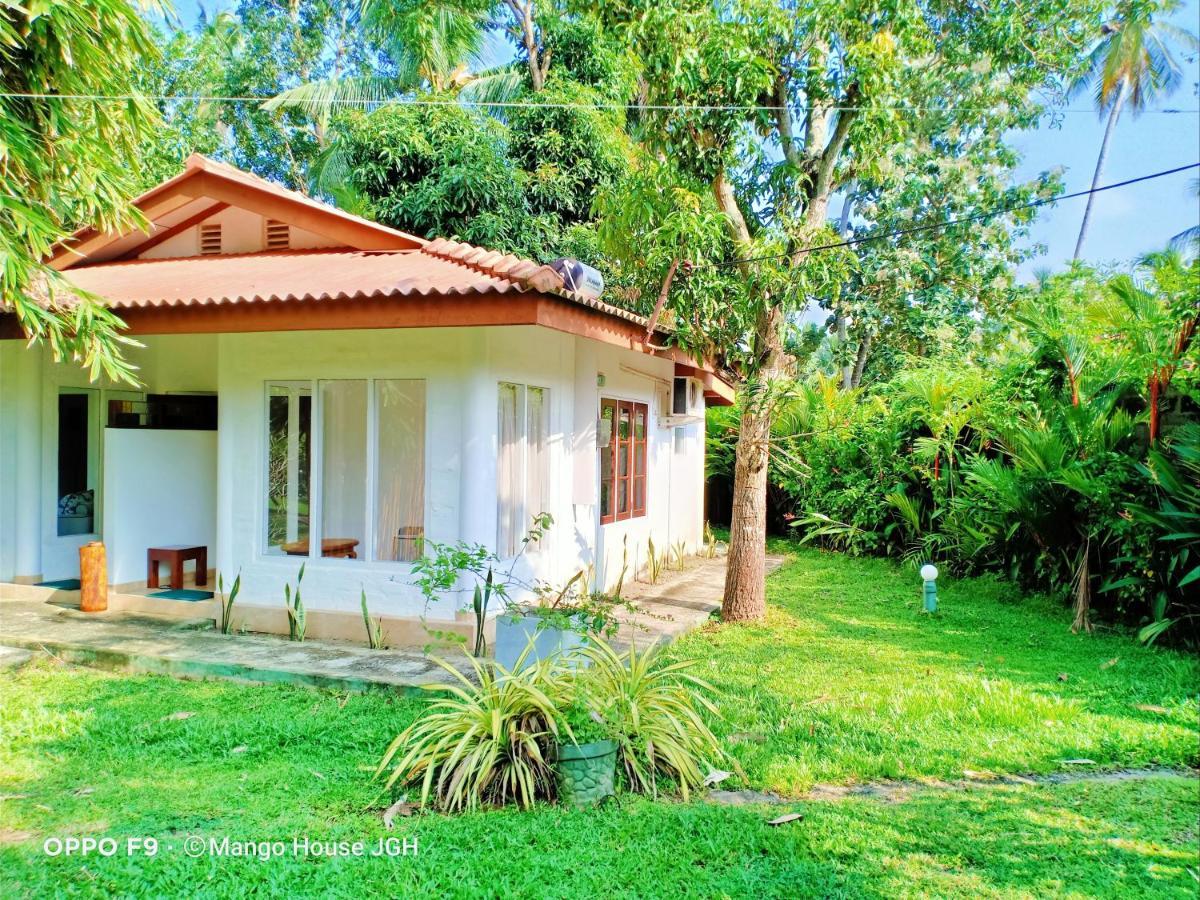 Mango House Japanese Guest House Негомбо Экстерьер фото