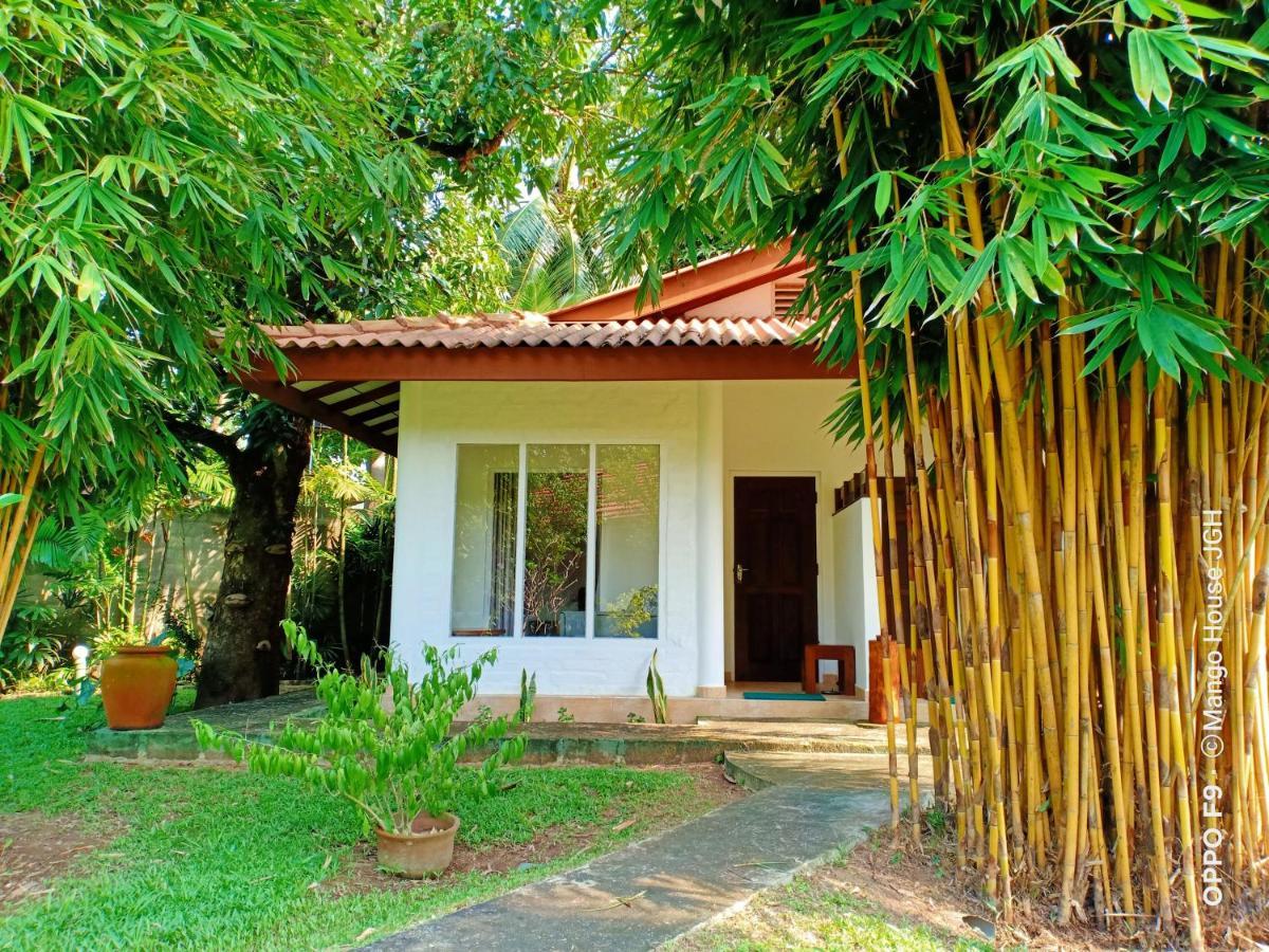 Mango House Japanese Guest House Негомбо Экстерьер фото