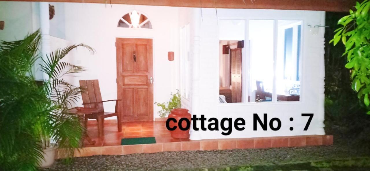Mango House Japanese Guest House Негомбо Номер фото