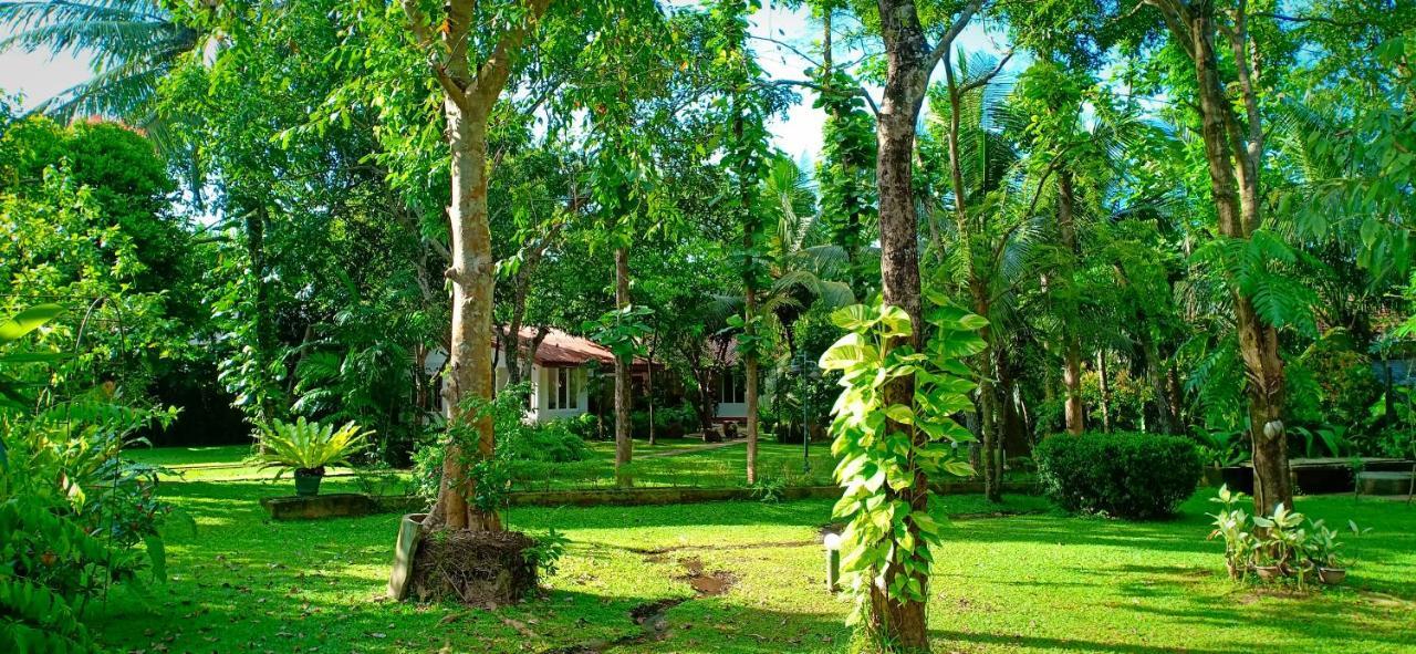 Mango House Japanese Guest House Негомбо Экстерьер фото
